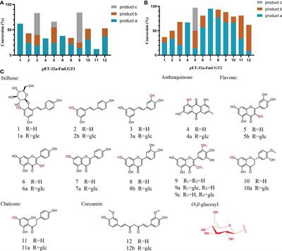 Molecular identification and functional characterization of two glycosyltransferases genes from Fallopia multiflora